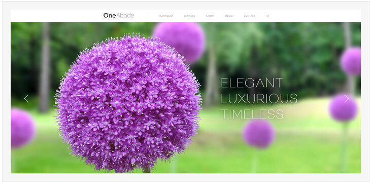 �L(f��ng)���زľW(w��ng)վ�O(sh��)Ӌ(j��)